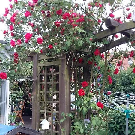 Romantikgarten Apartman *