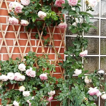 Romantikgarten * Amelinghausen