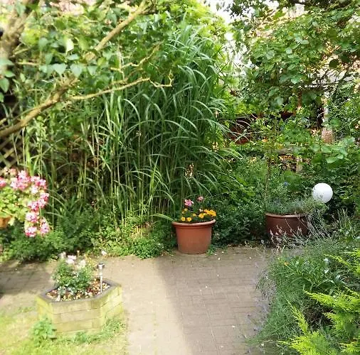 Romantikgarten * 阿默灵豪森