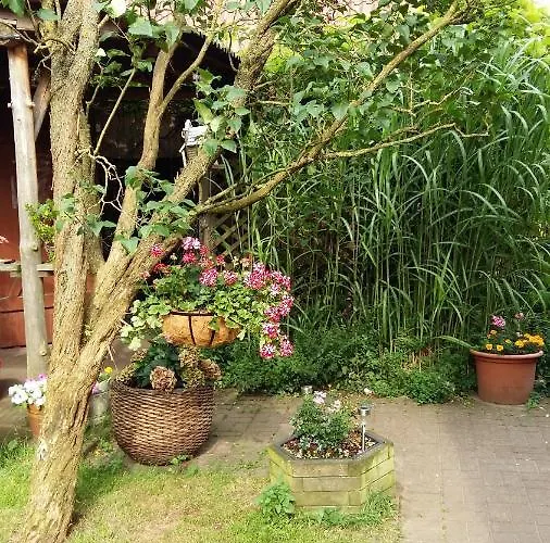 Romantikgarten 公寓 阿默灵豪森