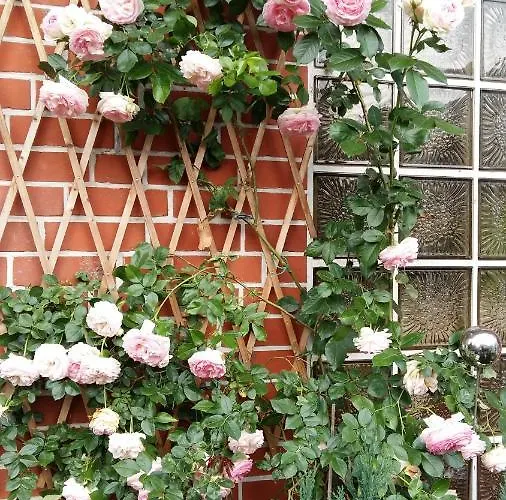 Romantikgarten * 阿默灵豪森